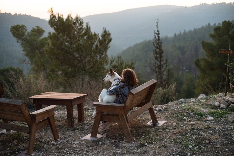 girl-sitting-wooden-bench-holding-white-dog-surrounded-by-greenery-hills-sunlight.jpg