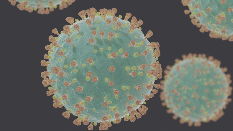 Coronavirus_SARS-CoV-2.jpg