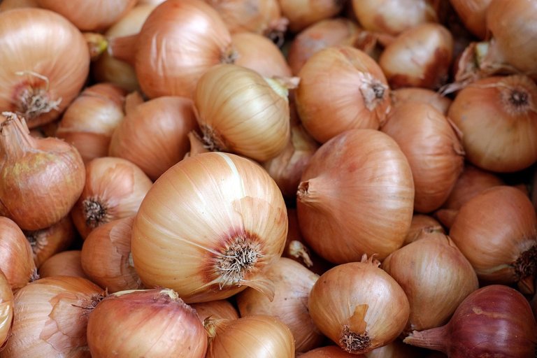 onions-g5a76e2923_1280.jpg