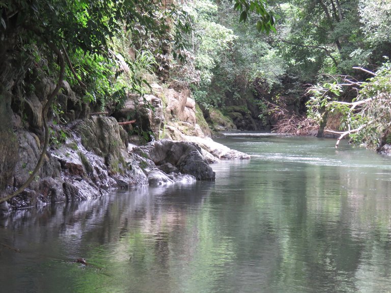 river in costa rica.jpg