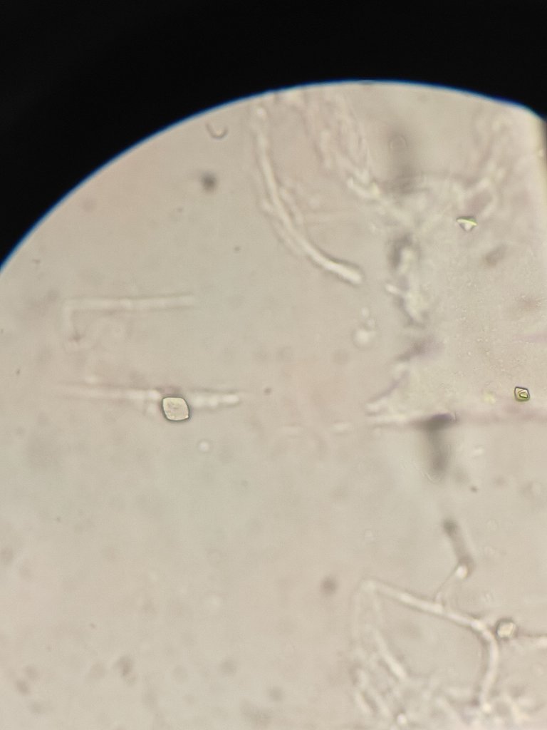 1000160919.jpg