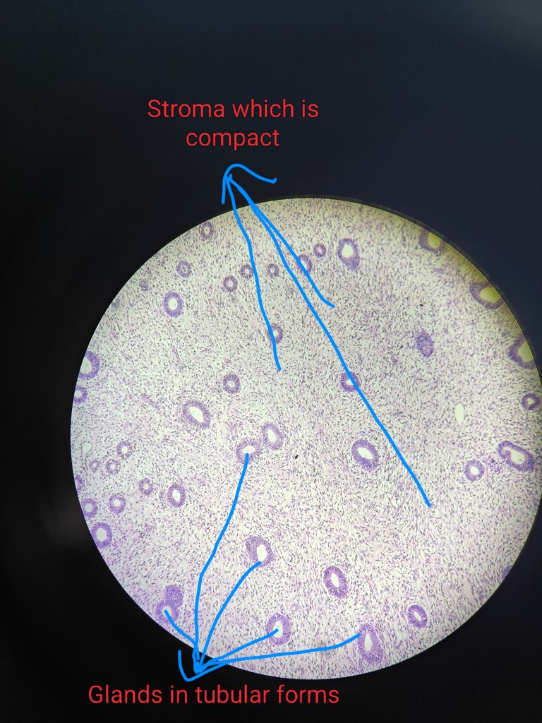 1000181812.jpg