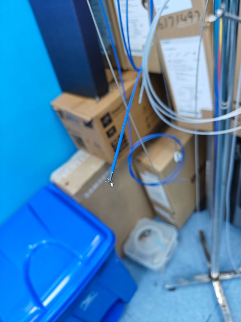 1000189240.jpg