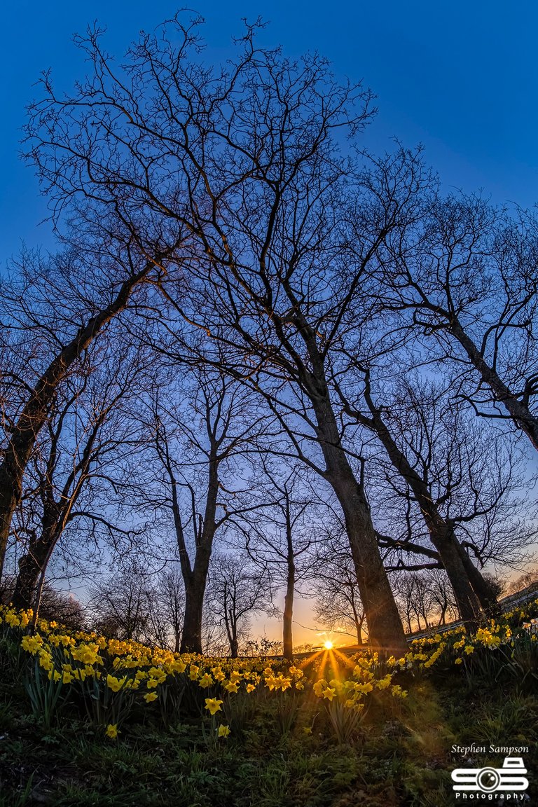 Ponte Park Sunset 1.JPG