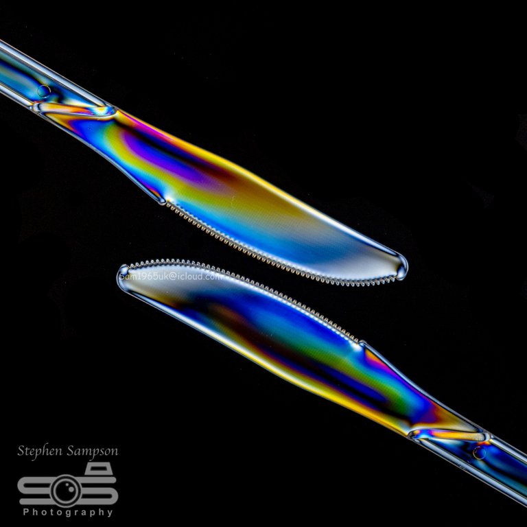 Photoelasticity 1 FB.jpg