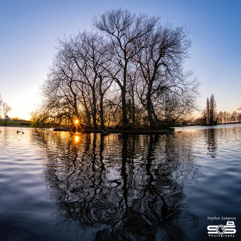 Ponte Park Sunset 2.JPG