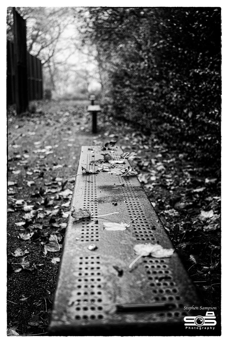 Walk in the park 1 BW.jpg