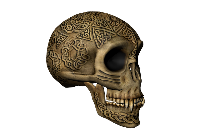 skull-3027295_640.png