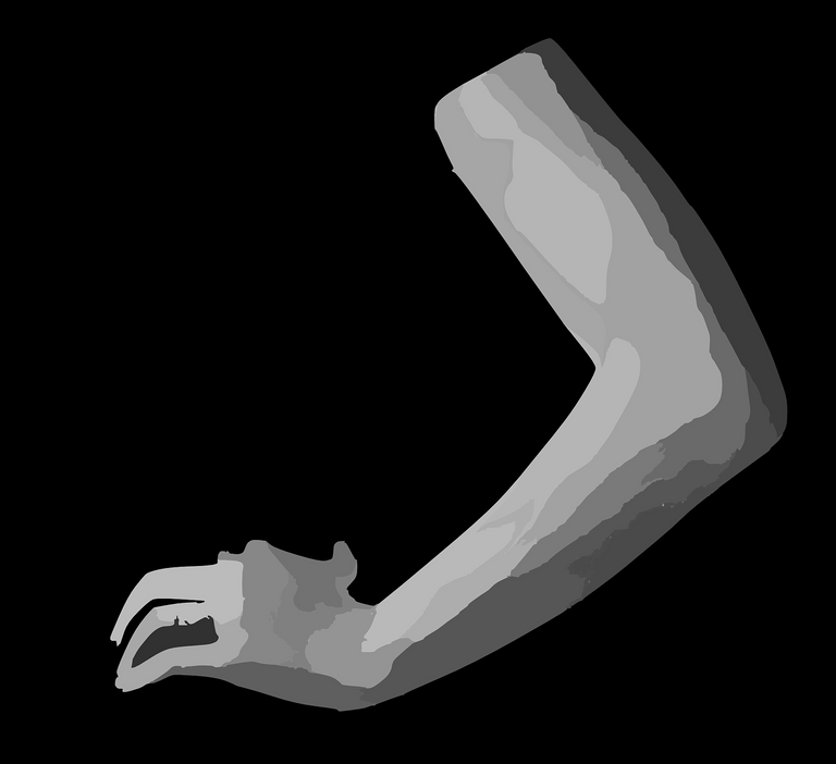 arm-312020_1280.png