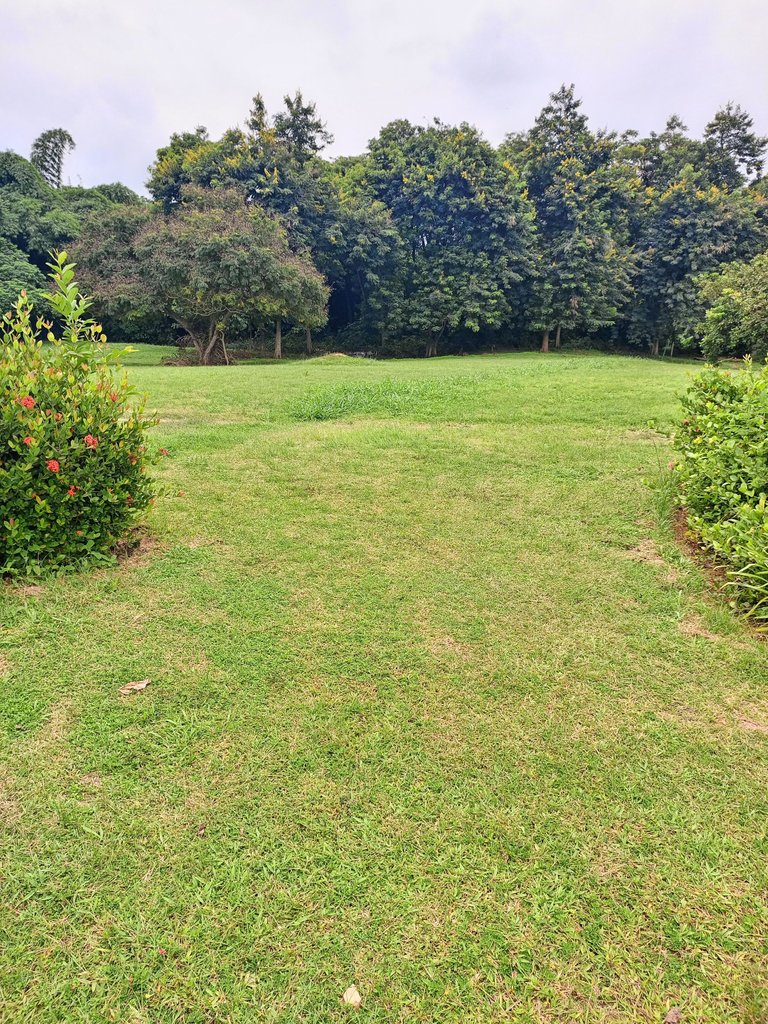 IMG_20220721_143448_731.jpg