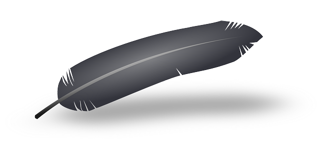 feather-37604_640.png