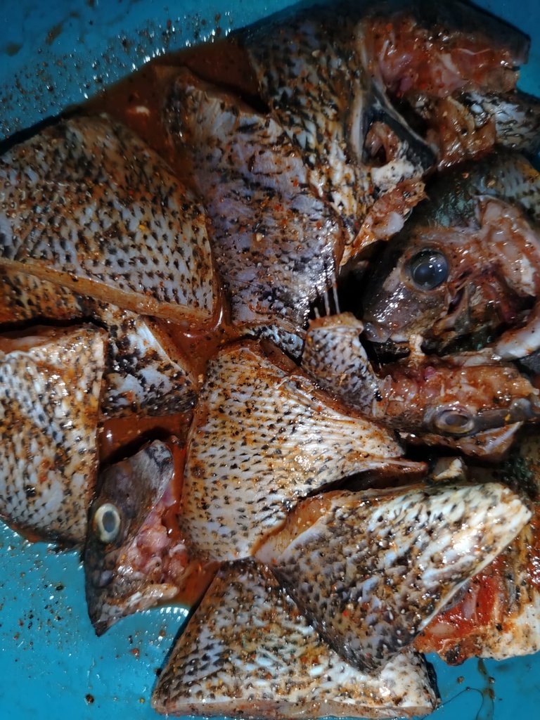 WhatsApp Image 2025-11-24 at 17.30.03.jpeg