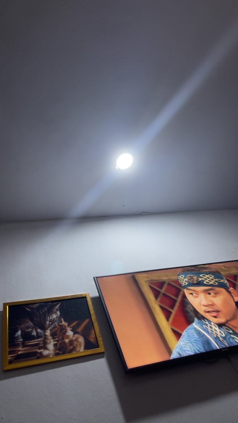 IMG_3545.jpeg