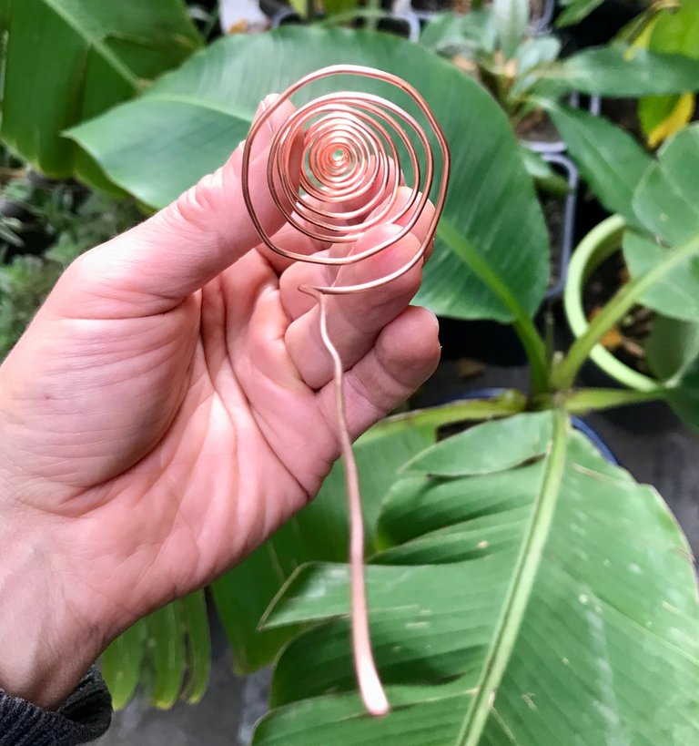 Electroculture Gardening with Copper Antennas. What's all the Fuss