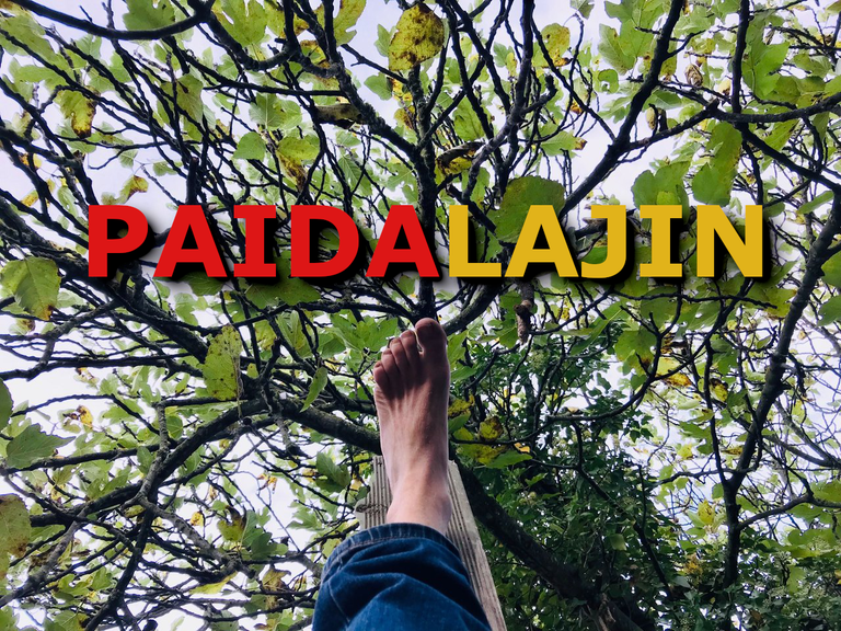 paidalajin leg up.png