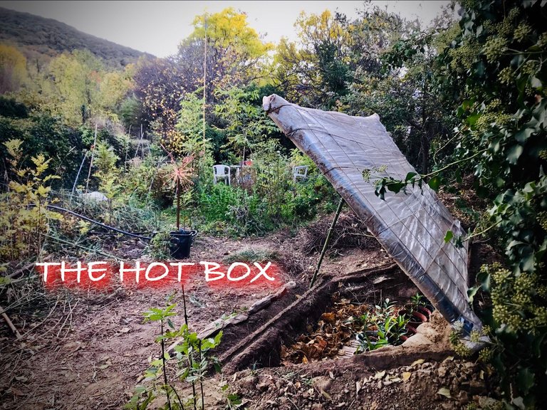 the hot box.jpeg
