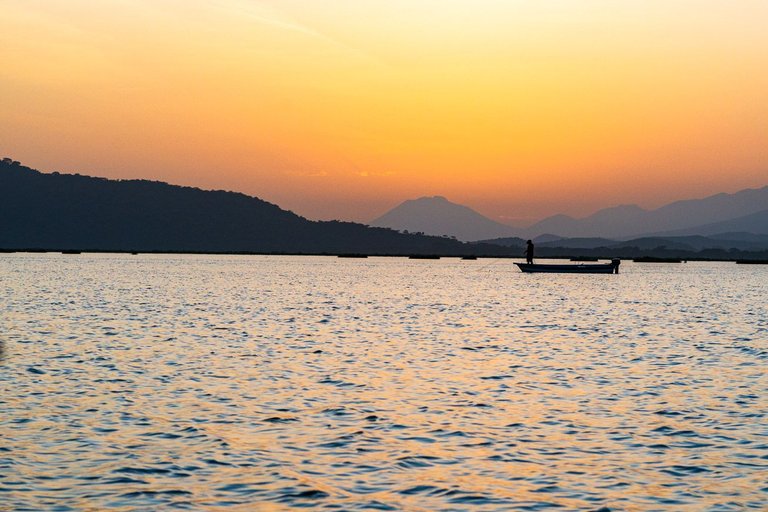 _DSC3038.jpg