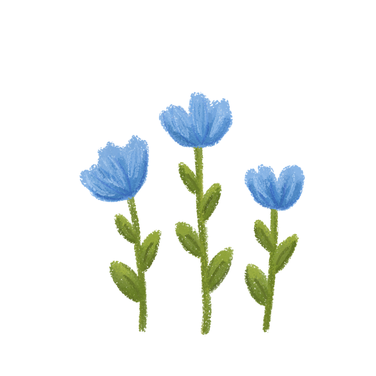 flowers-7475758_1280 (1).png