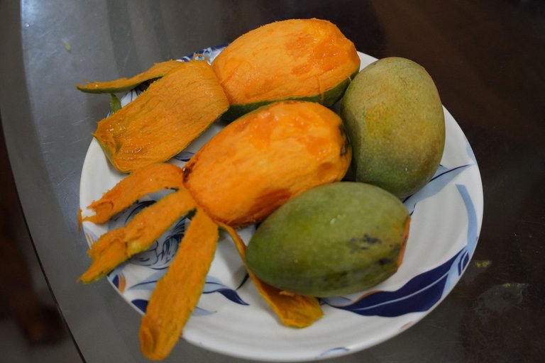 DSC08048.JPG