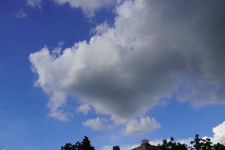 DSC08396.JPG