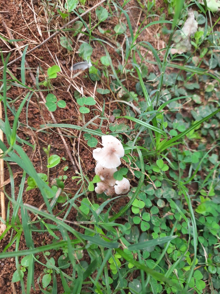 20250710_082133.jpg