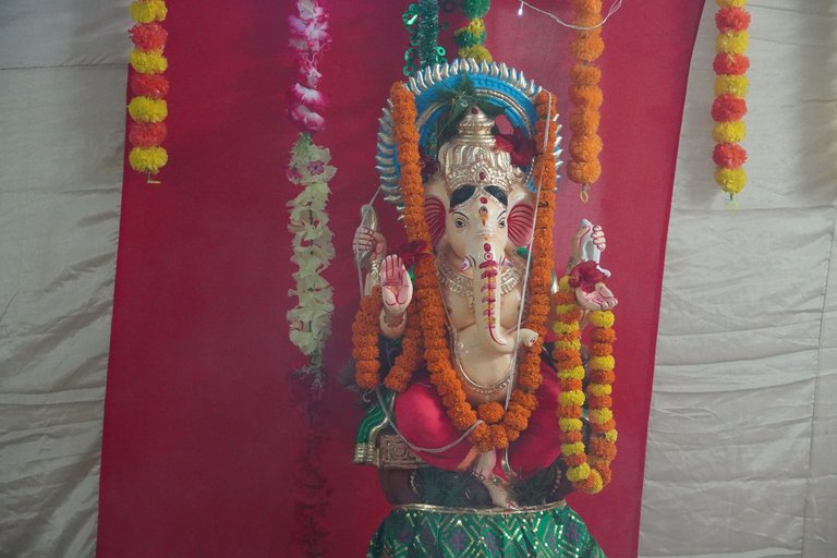 DSC00264.JPG