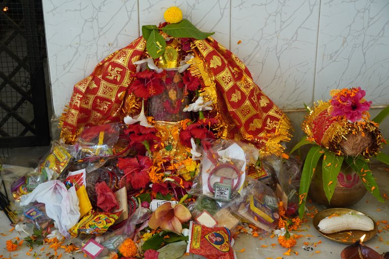 DSC08442.JPG