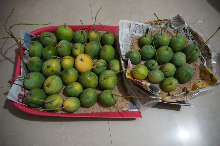 DSC08164.JPG