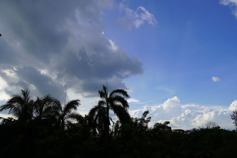 DSC08395.JPG