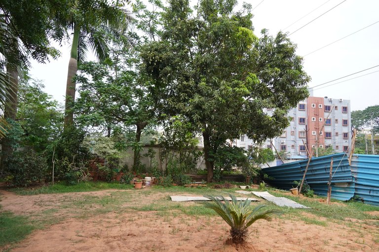 DSC08044.JPG