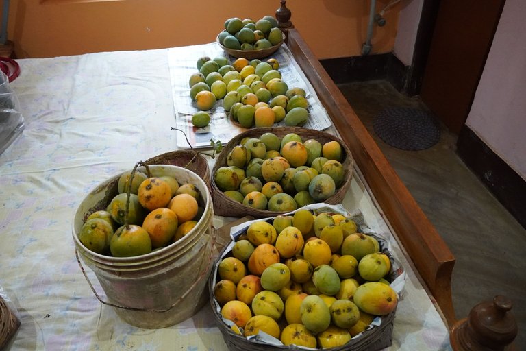 DSC08300.JPG