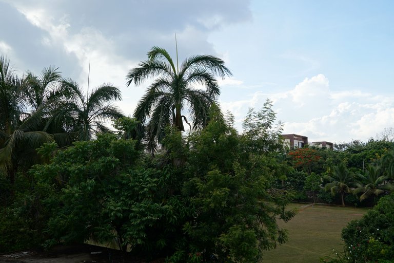 DSC08394.JPG