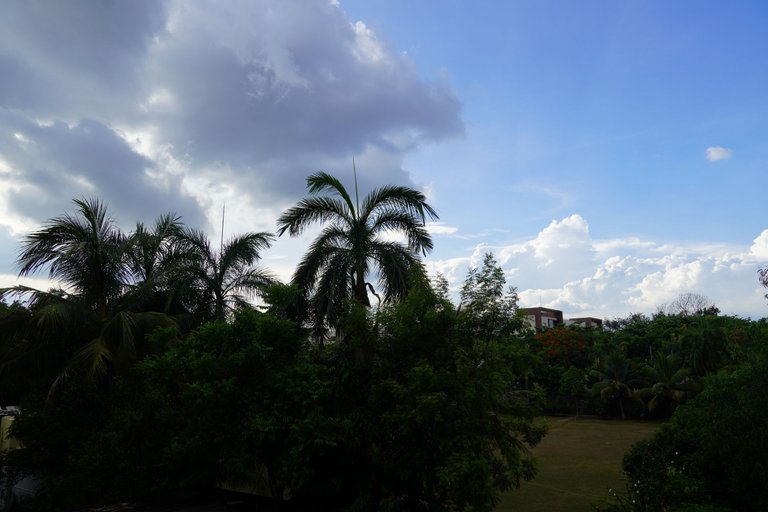 DSC08393.JPG