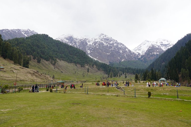 DSC00754.JPG