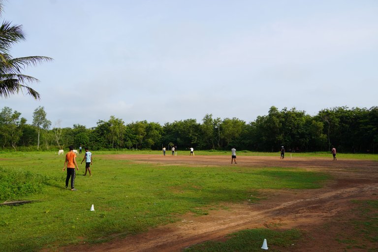 DSC09515.JPG