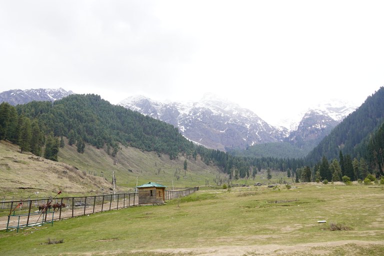 DSC00808.JPG