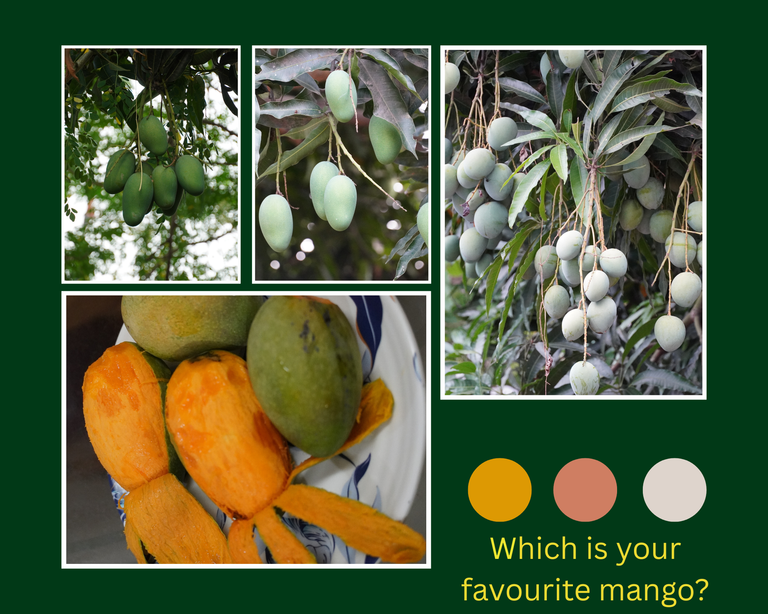 Mango.png