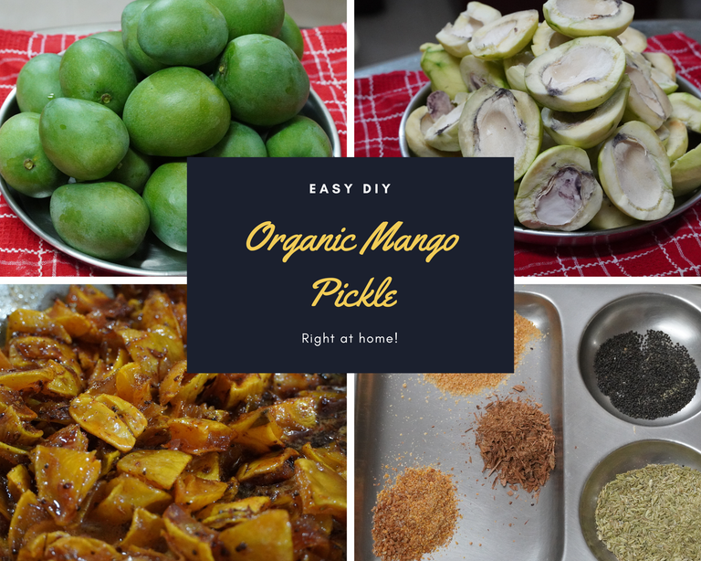 Organic Mango Pickle.png