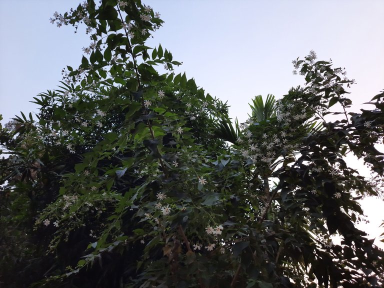 20221108_060833.jpg