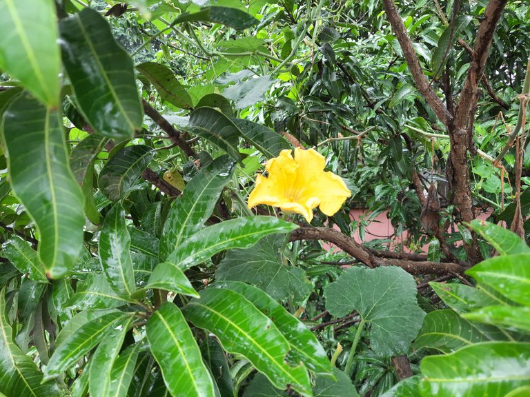 20250822_090940.jpg