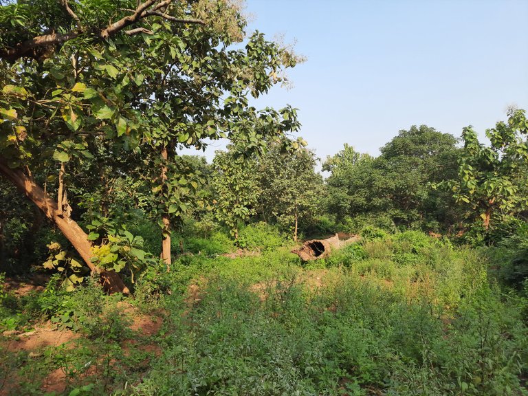 083956.jpg