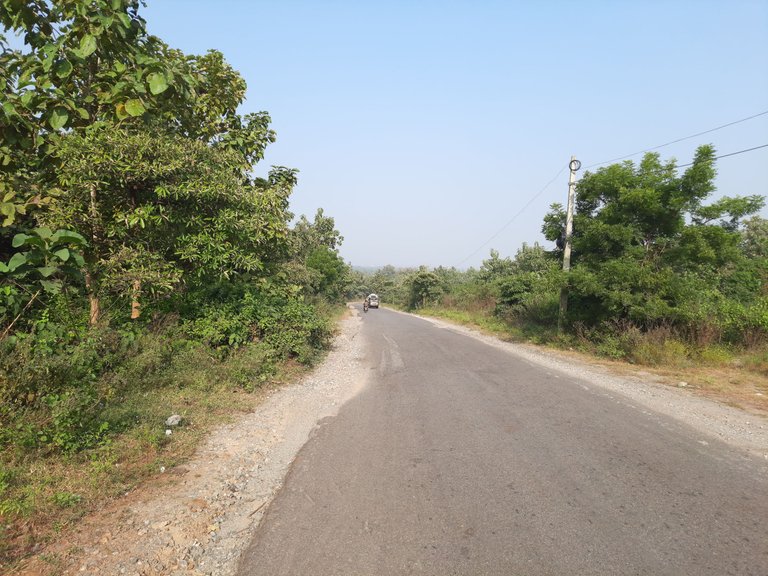 083345.jpg
