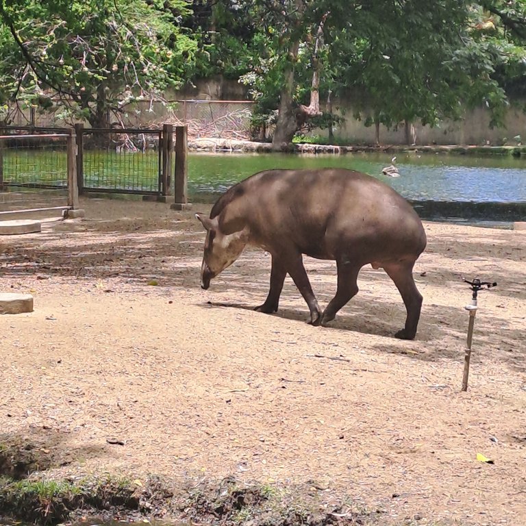20250524_122127.jpg
