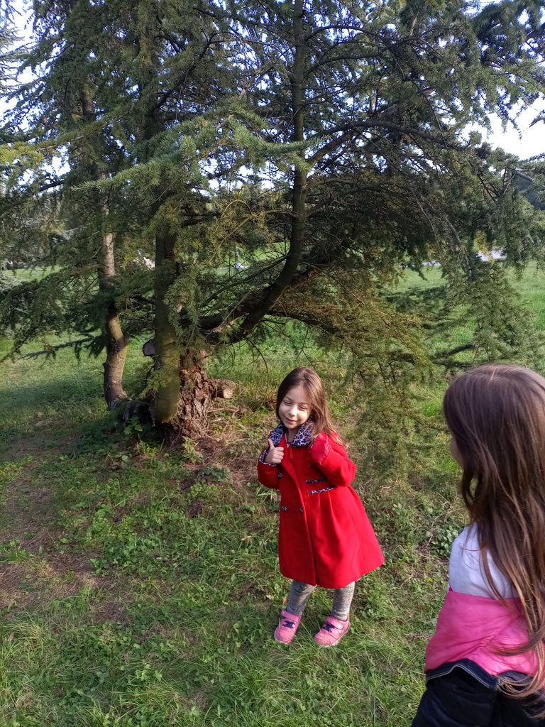IMG_20221015_170346.jpg