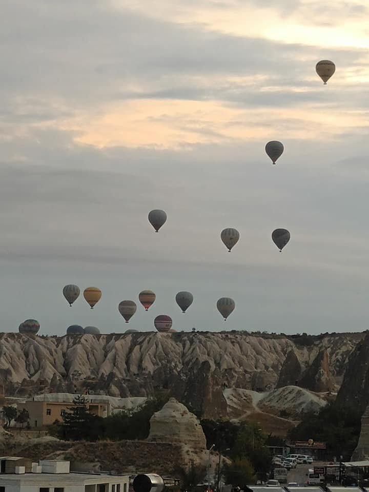 311473736_572538977961441_2151251665071013382_n.jpg