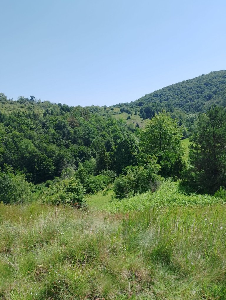 20240625_083345.jpg