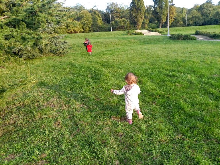 IMG_20221015_170438.jpg