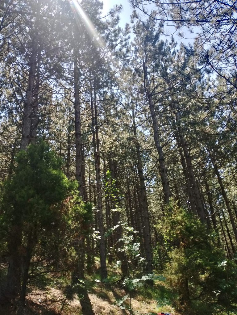 20240625_083151.jpg