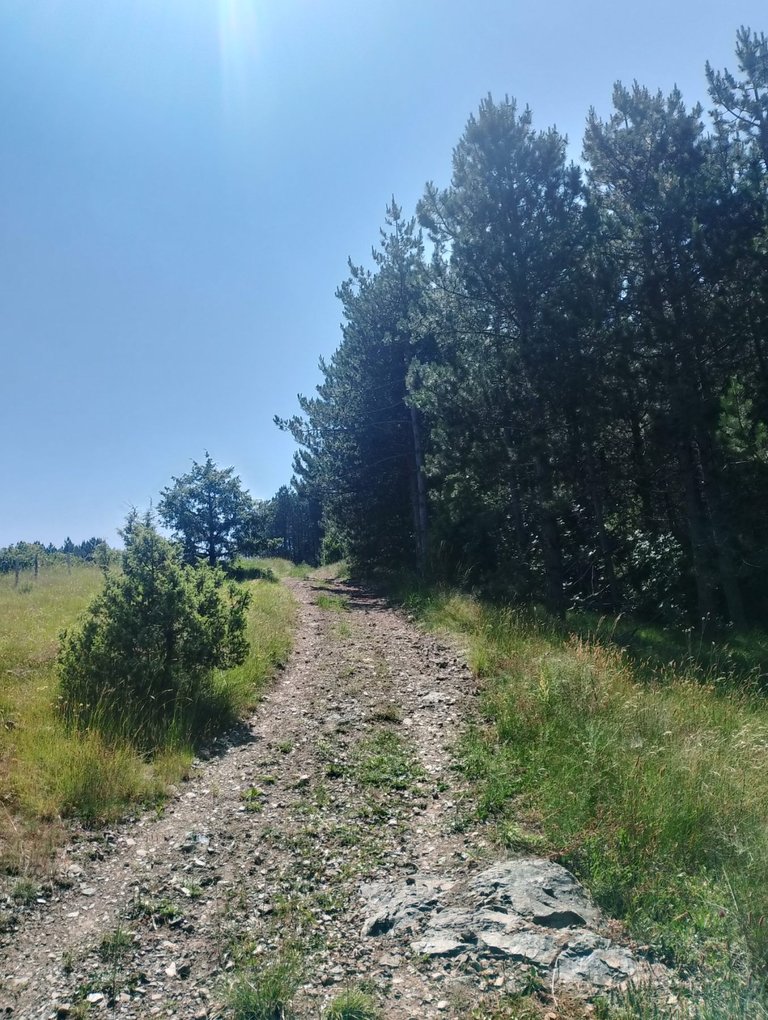 20240625_083211.jpg