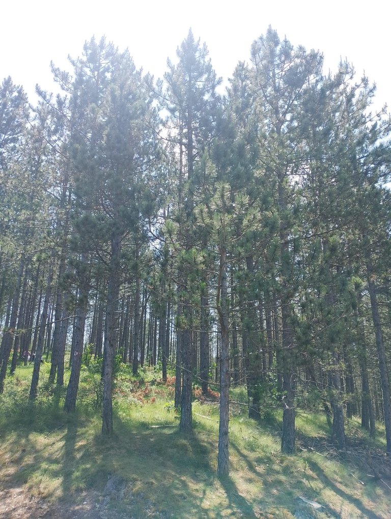20240625_083353.jpg